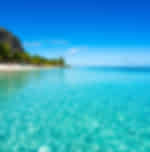Explore North Island Tour Operational On Tuesday and Friday